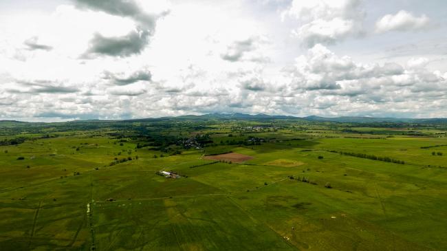L'Habitat du Courlis Cendré L'Habitat du Courlis Cendré