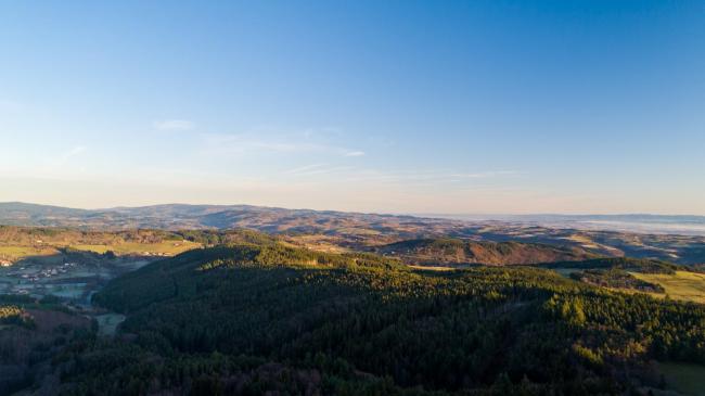 Loire : Forêts du Forez Loire : Forêts du Forez
